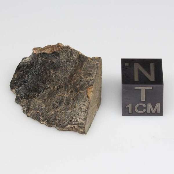 NWA 1109 Meteorite 4.6g with Crust