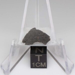 NWA 11721 Meteorite 0.8g