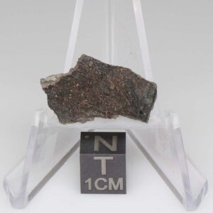 NWA 11721 Meteorite 1.5g