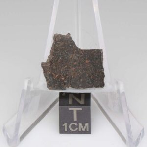 NWA 11721 Meteorite 1.9g