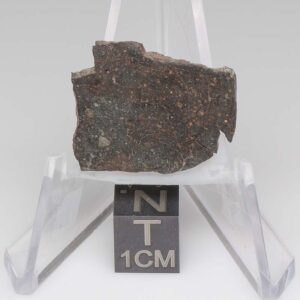 NWA 11721 Meteorite 2.6g