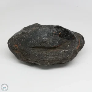 Muong Nong Tektite 1433g