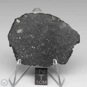 NWA 13788 Lunar Meteorite 11.32g