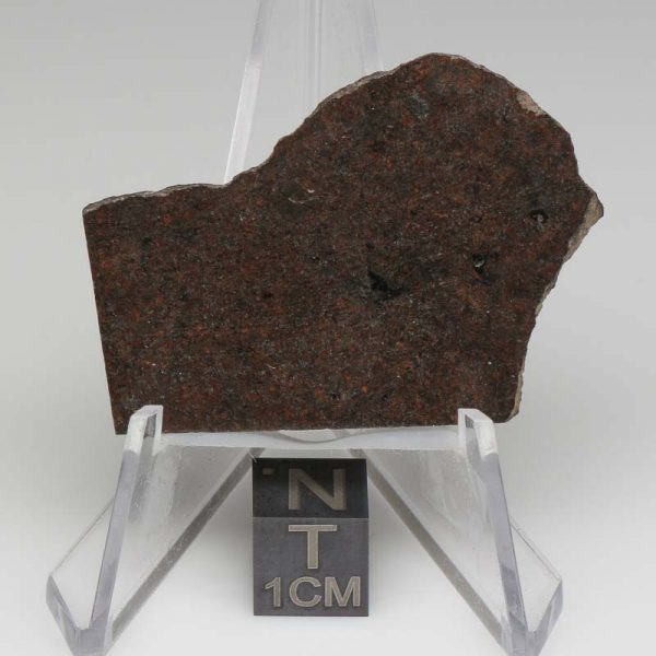NWA 10816 Meteorite 15.2g