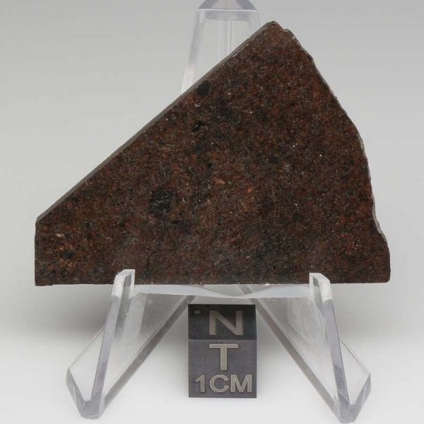 NWA 10816 Meteorite 14.7g