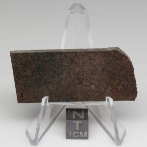 NWA 10816 Meteorite 18.9g