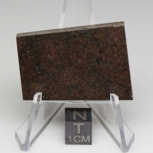 NWA 10816 Meteorite 20.4g