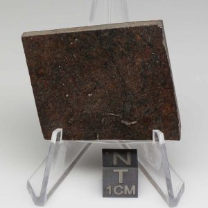 NWA 10816 Meteorite 26.8g