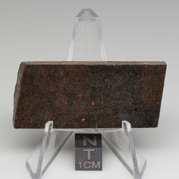 NWA 10816 Meteorite 21.2g