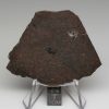 NWA 10816 Meteorite 31.7g