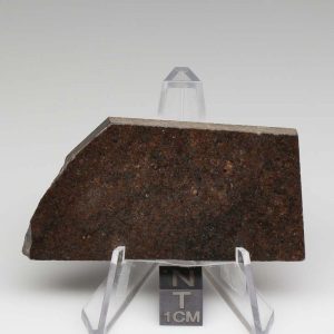 NWA 10816 Meteorite 39.2g