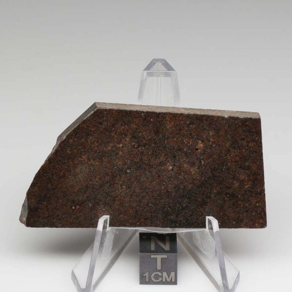 NWA 10816 Meteorite 39.2g
