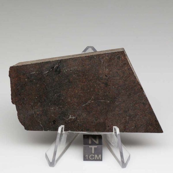 NWA 10816 Meteorite 57.7g