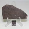 NWA 10816 Meteorite 27.2g