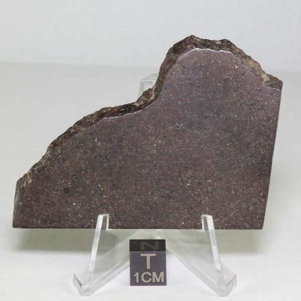 NWA 10816 Meteorite 29.9g