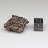 NWA 10828 Meteorite 6.8g
