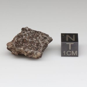 NWA 10828 Meteorite 6.8g