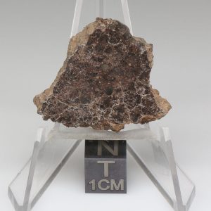NWA 10828 Meteorite 6.5g