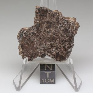 NWA 10828 Meteorite 11.7g