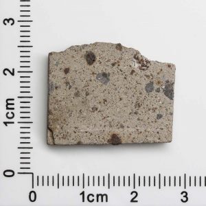NWA 1109 Meteorite 5.7g