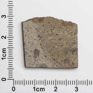 NWA 1109 Meteorite 5.4g