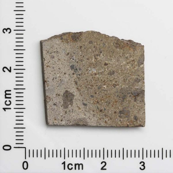 NWA 1109 Meteorite 5.4g
