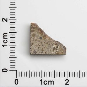 NWA 1109 Meteorite 1.5g