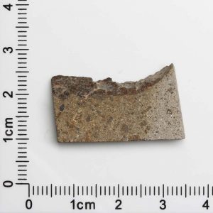NWA 1109 Meteorite 4.5g
