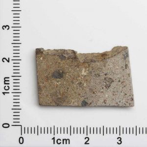 NWA 1109 Meteorite 4.1g