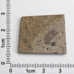 NWA 1109 Meteorite 7.2g
