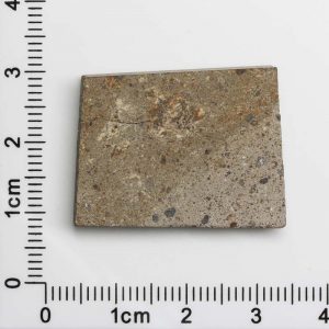 NWA 1109 Meteorite 7.9g