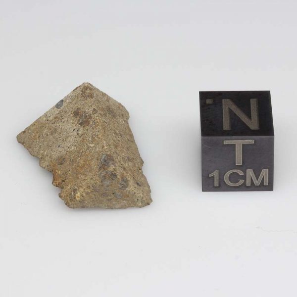 NWA 1109 Meteorite 2.6g with Crust