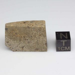 NWA 1109 Meteorite 9.0g with Crust