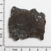NWA 11182 Lunar Meteorite 8.14g