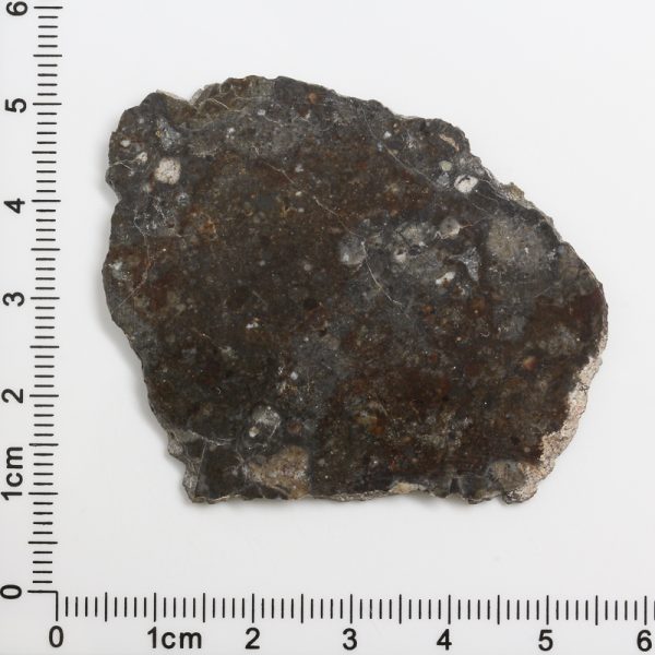 NWA 11182 Lunar Meteorite 6.95g