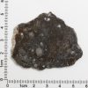 NWA 11182 Lunar Meteorite 8.28g