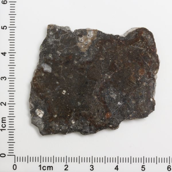 NWA 11182 Lunar Meteorite 8.47g