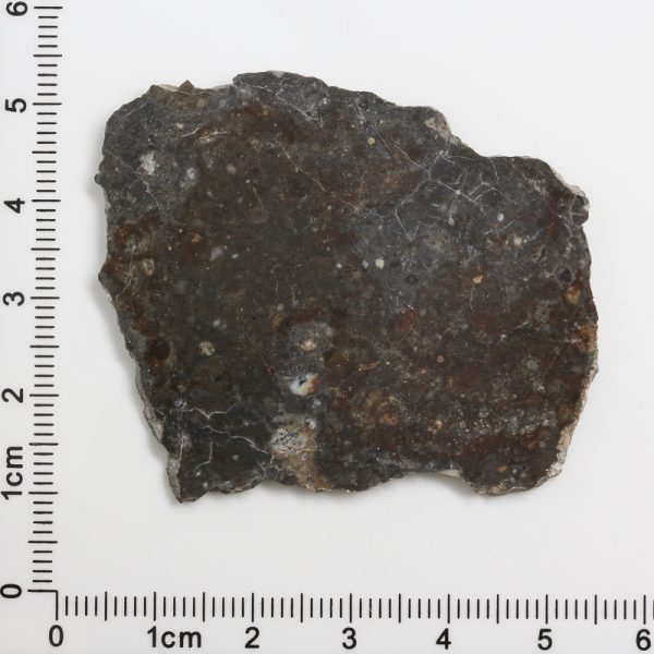NWA 11182-26 Meteorite