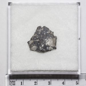 NWA 11273 Lunar Meteorite 1.43g