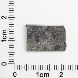 NWA 11288 Martian Meteorite 1.31g