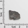 NWA 11288 Martian Meteorite 0.93g