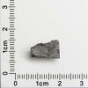 NWA 11288 Martian Meteorite 1.19g