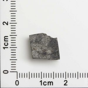 NWA 11288 Martian Meteorite 1.64g