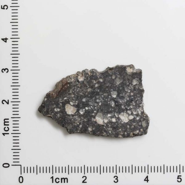 NWA 11474 Lunar Meteorite 2.74g