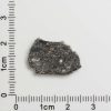 NWA 11788 Lunar Meteorite 1.06g