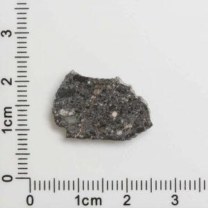 NWA 11788 Lunar Meteorite 1.06g