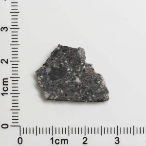 NWA 11788 Lunar Meteorite 1.15g