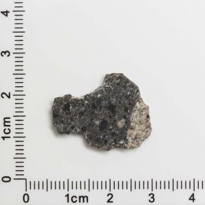 NWA 11788 Lunar Meteorite 1.04g