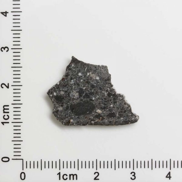 NWA 11788 Lunar Meteorite 1.37g
