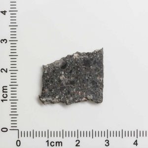 NWA 11788 Lunar Meteorite 1.50g